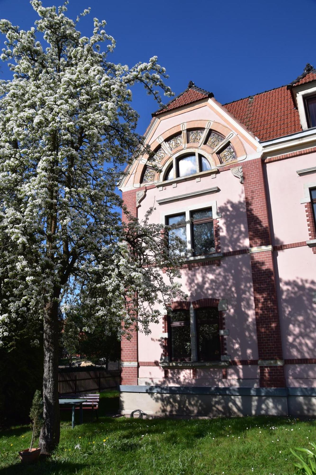 Ferienwohnung Und Pension "Zur Aue" Konigsbruck Zewnętrze zdjęcie