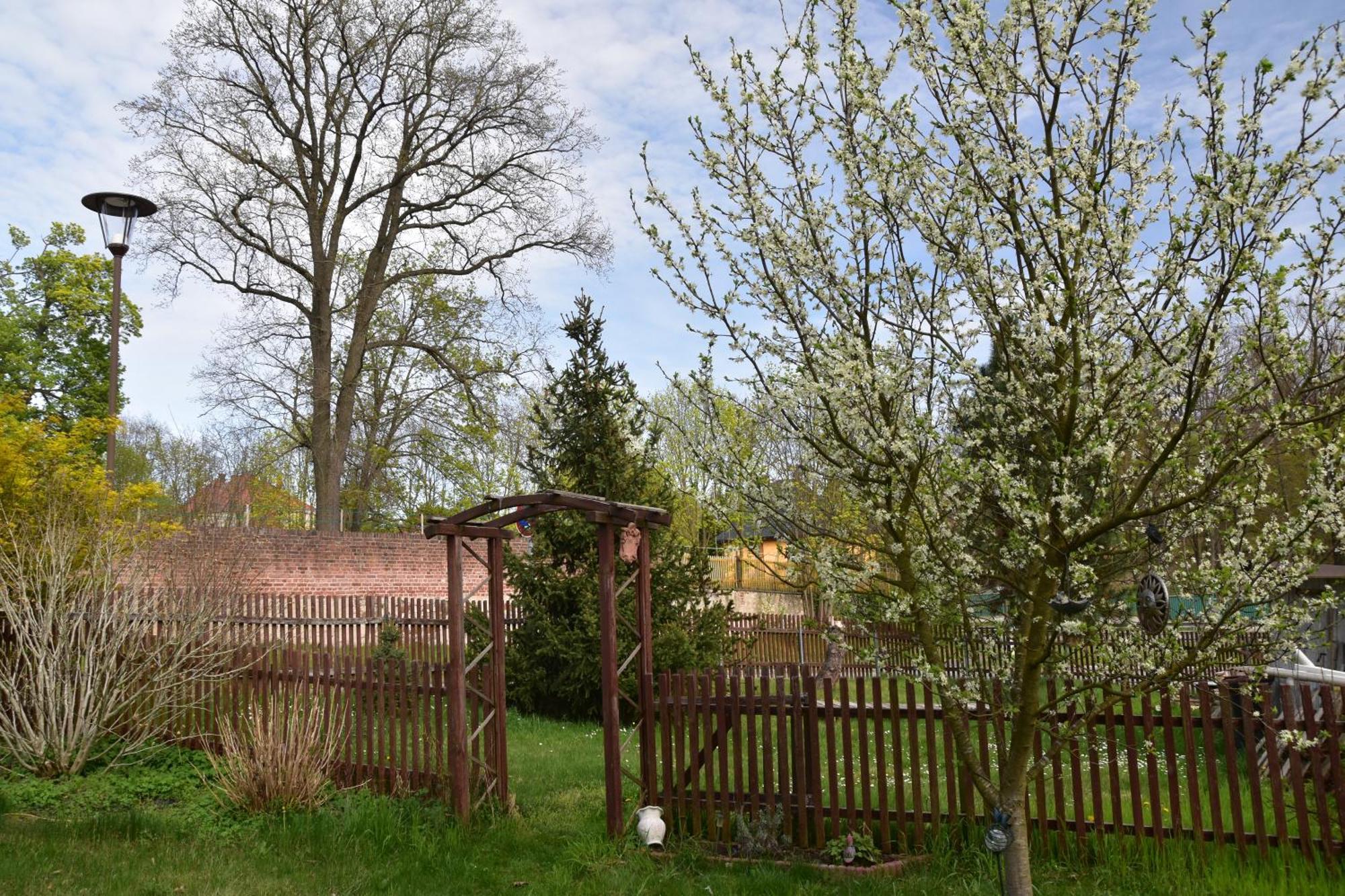 Ferienwohnung Und Pension "Zur Aue" Konigsbruck Zewnętrze zdjęcie